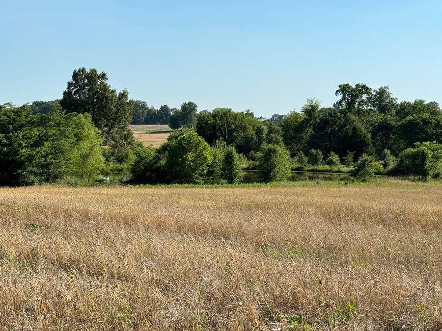 Prime Acreage Near Marion City Limits